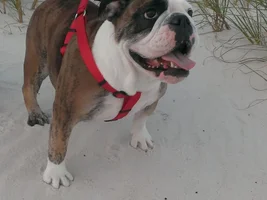 Diva in Biloxi, MS