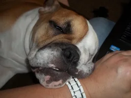 some pics of Remy!!