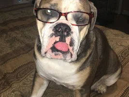 Do my glasses make me look smart?!?!?
