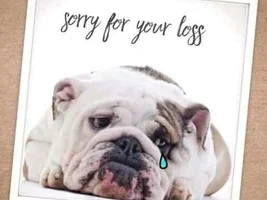 We said goodbye to Monty tonight.