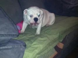 Update on Nora with new Pics