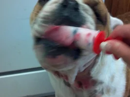 Latest on Kooper!