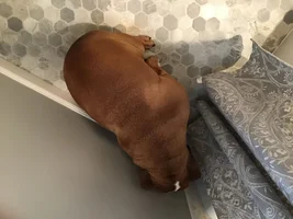 Worst day of her life!