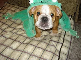 Cash after his bath