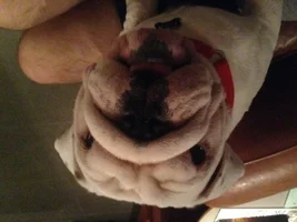 My ball face