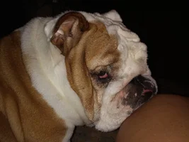 More pictures of Dually!!