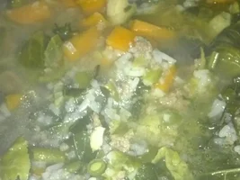 a vegas-like stew for Lola's potential allergy situation (one bonus snore video)