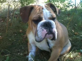 Otis - Photos - Latest and Greatest