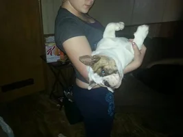 Mack attack