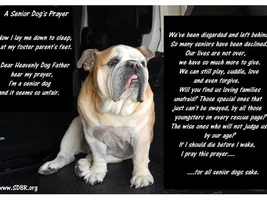 Senior Adoption Prayer