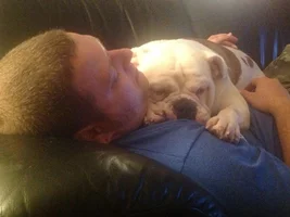 February 2015 Bulldog of the Month Contest ~ ENTER HERE ~