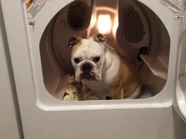 MOM, MOM, thank you, LOVE my new bed!