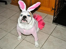 Zoey...Our Little Easter Bunny