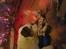 Thanks, Sue & Joey! Secret Santa