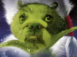 Fromm Family Foods ~ Bulldog Grinch Photo Contest ~