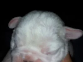 Hello from North Carolina!