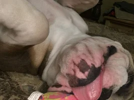 What is so funny????