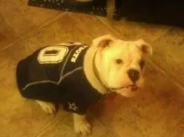 Ready for Tonight's Game!