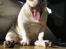 Usko's "birthday" today 18 months