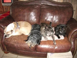 What a life!!!