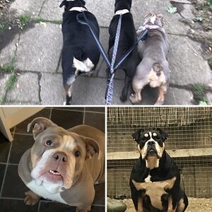 My girls