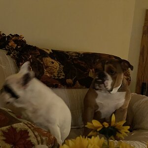 51DF920B-247A-4722-AD19-D16230235D9D.jpeg