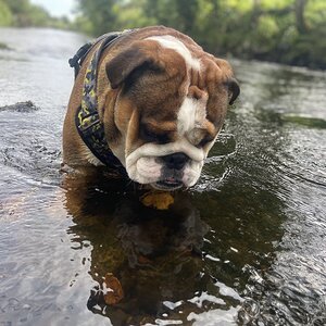 My boy