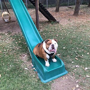 IMG_5214.jpeg