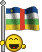 :flag11: