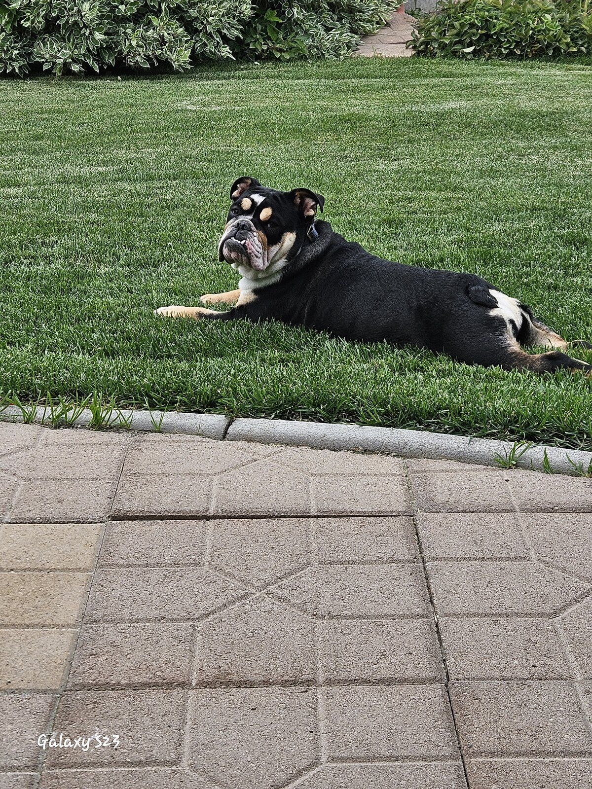 20240823_191055.jpg