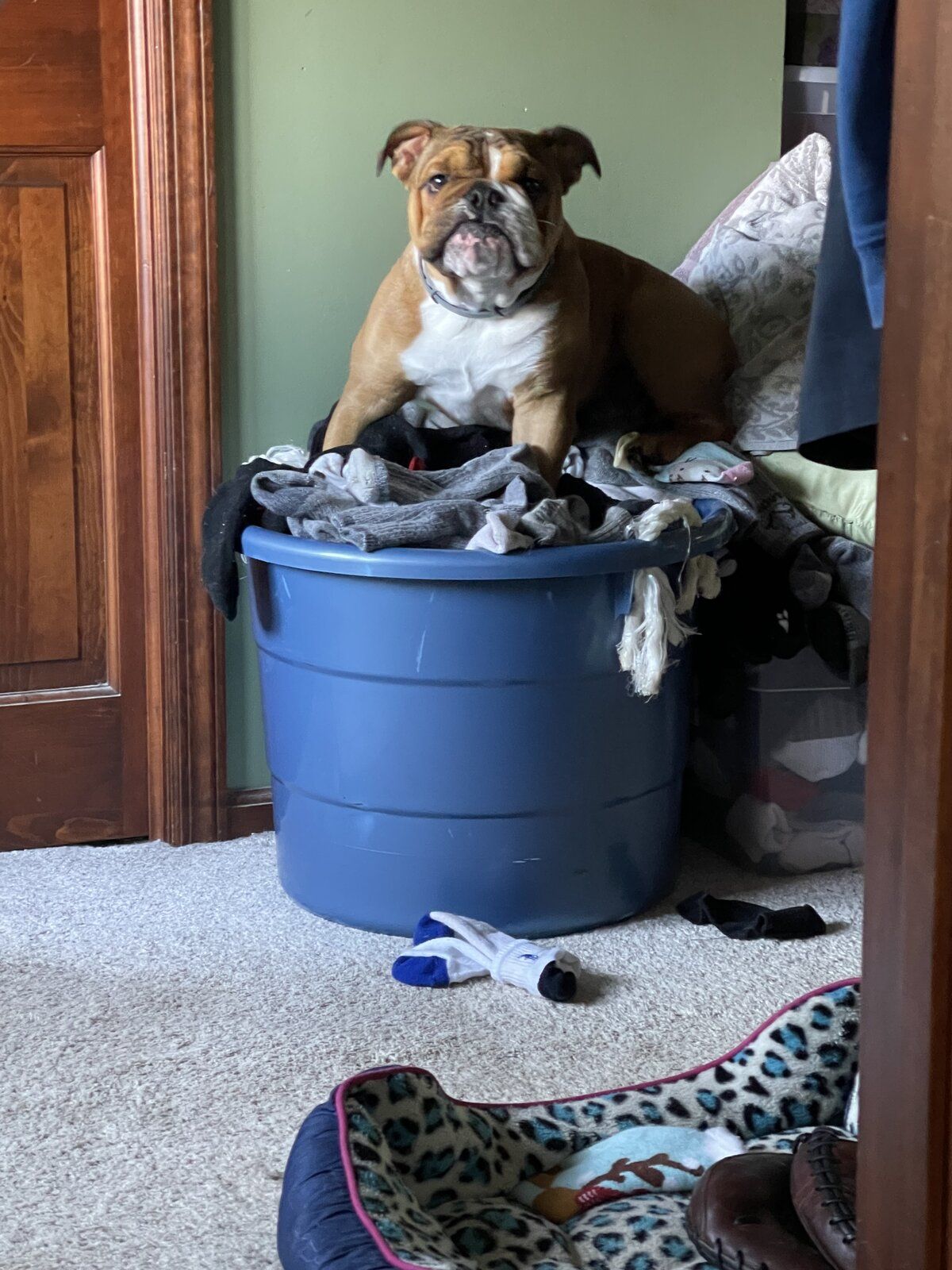 29647B08-91DF-4119-931B-3EF6E10E5158.jpeg