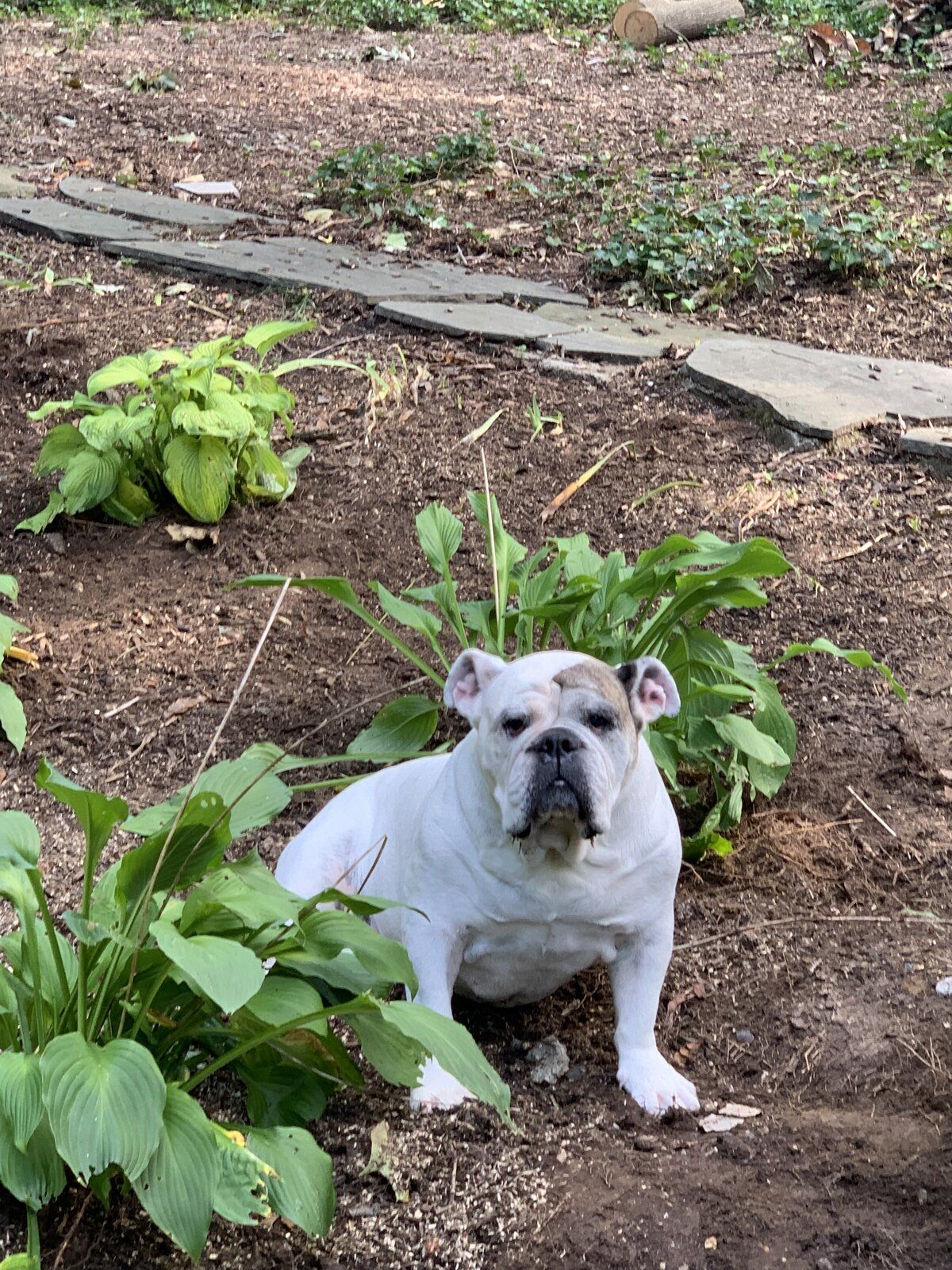 Gardening