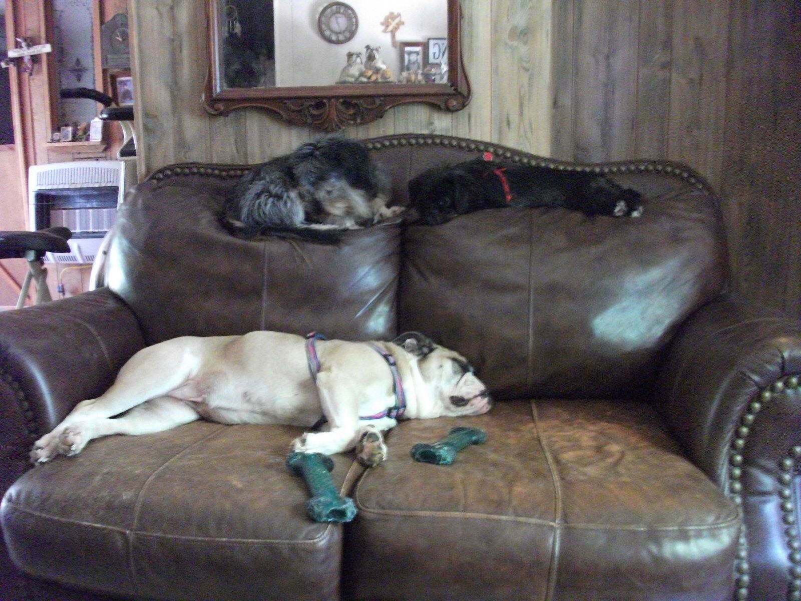 Nap time x3