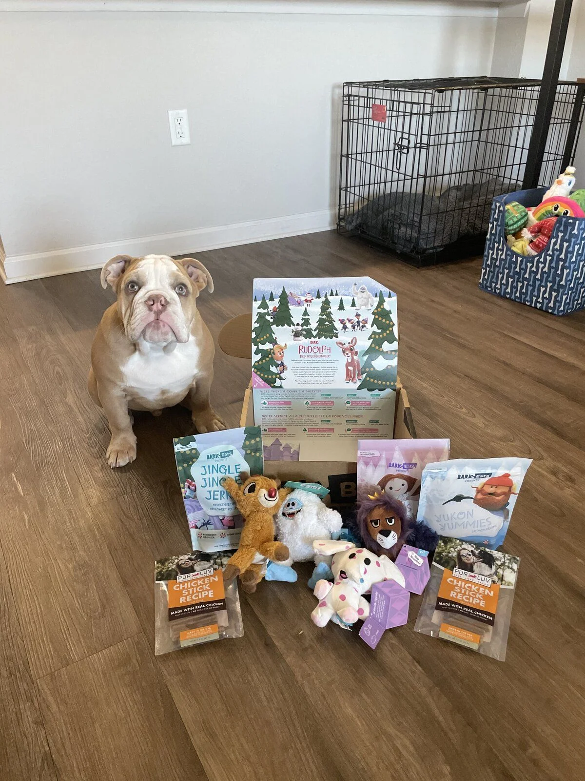 New Christmas bark box🐾