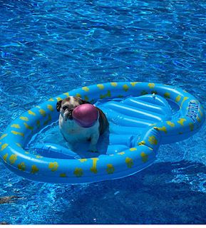 Pool.jpg
