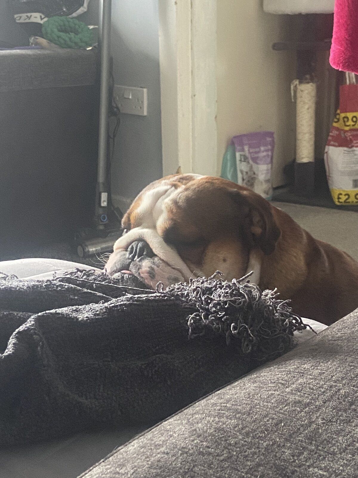 Sleepy loki
