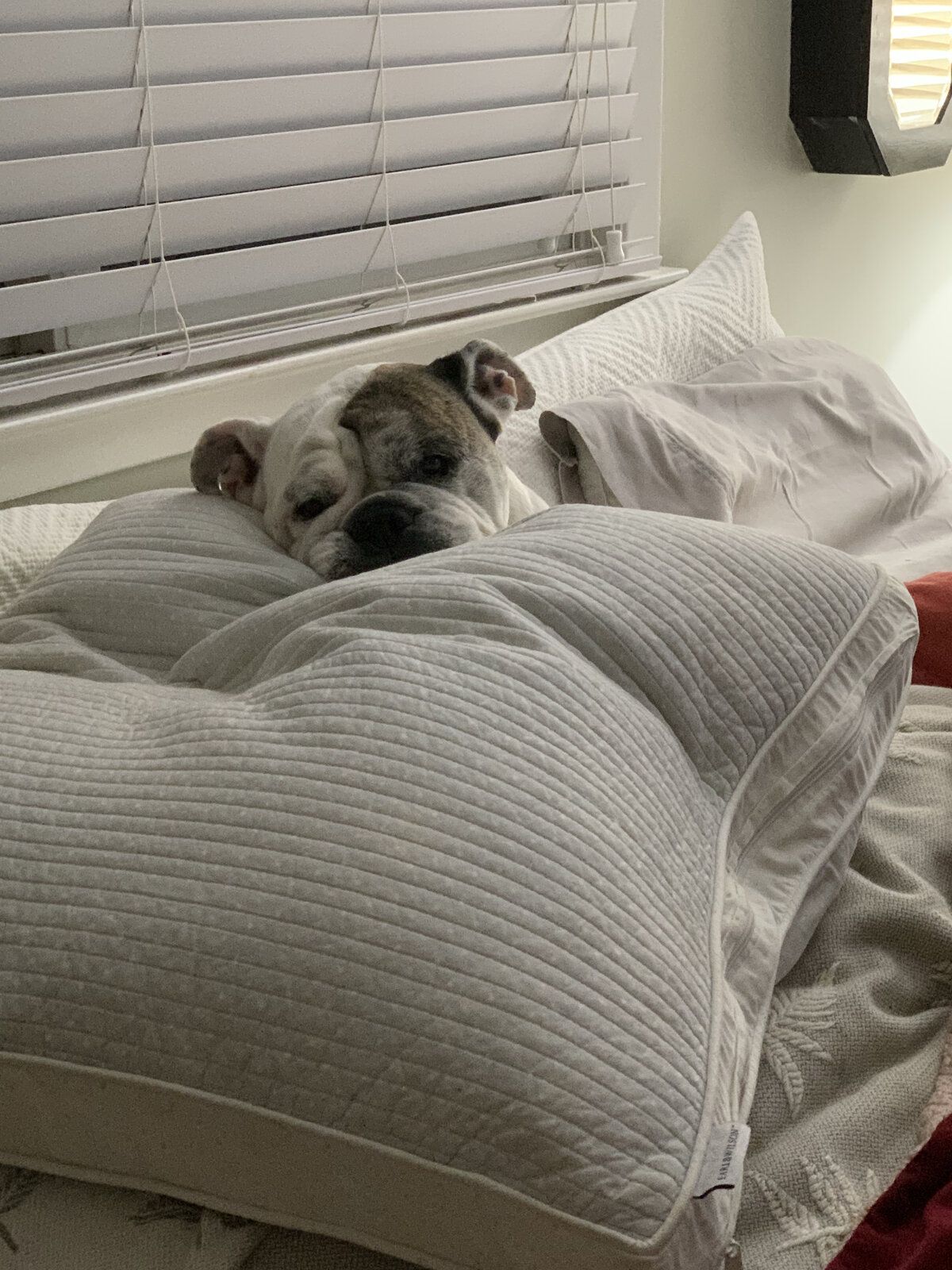 Sleepy time