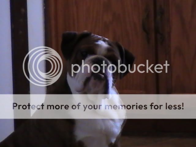 PIC_0097.jpg