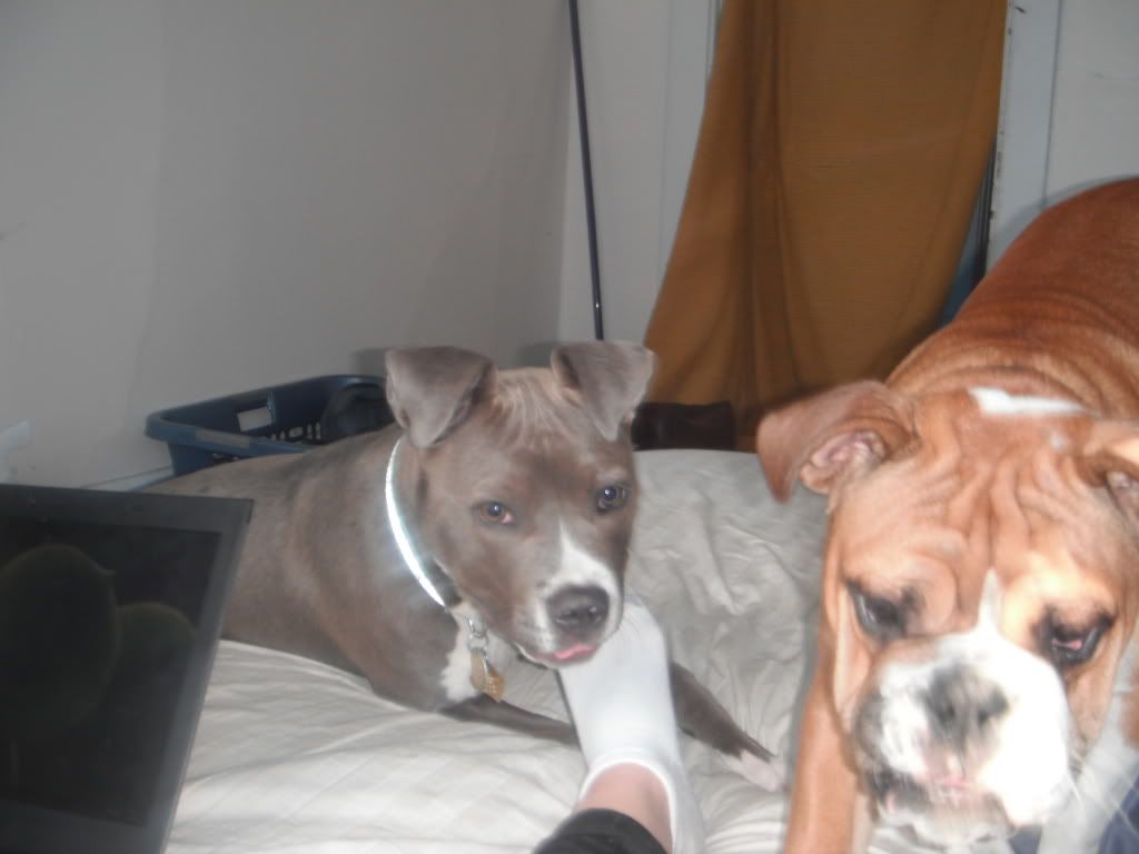 DSCF0605.jpg