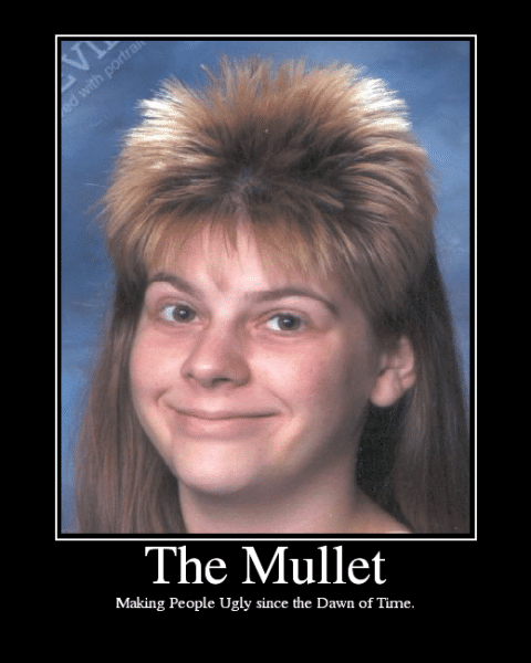 TheMullet_zps24c6a141.png