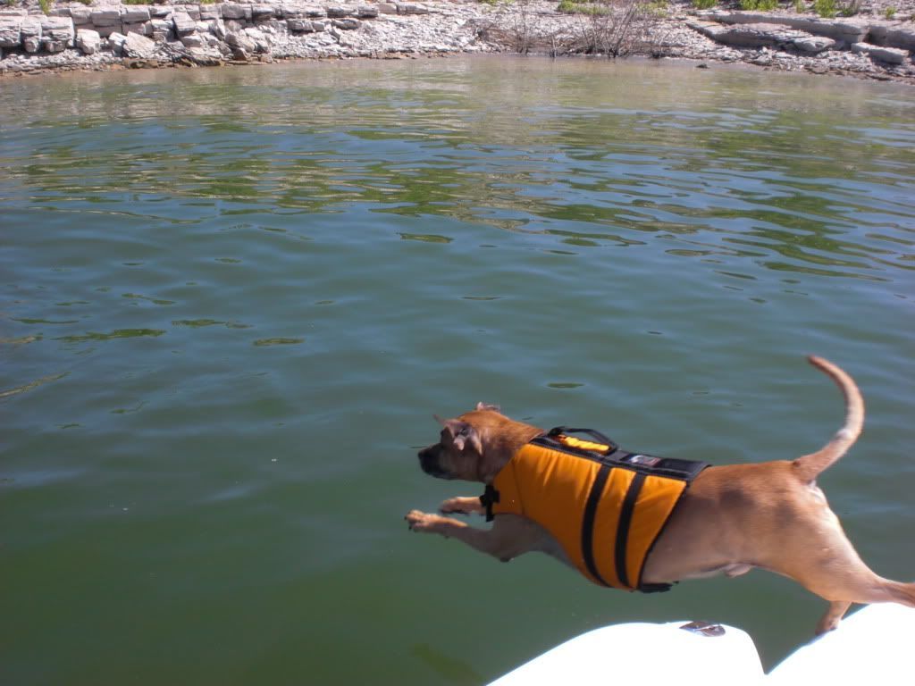 2011Summer024-1.jpg