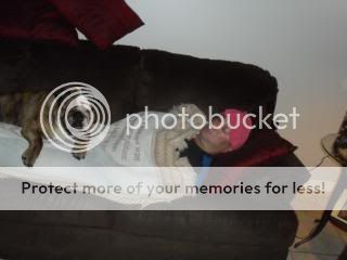 Joesstitches003.jpg
