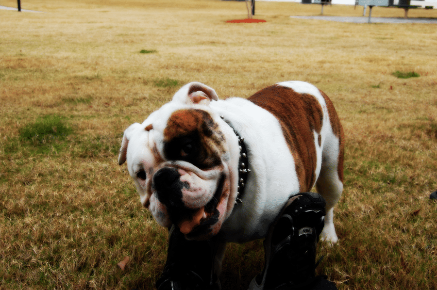 DSC_0086.png