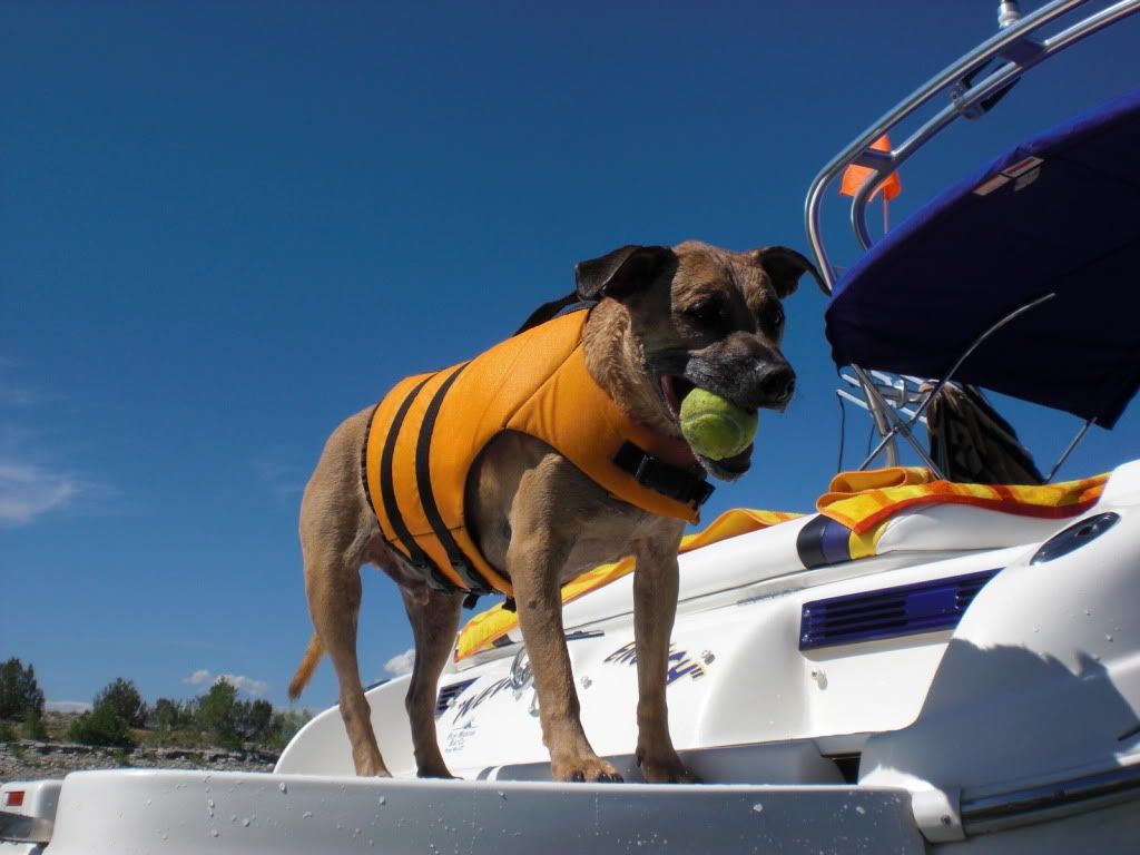 2011Summer038-1.jpg