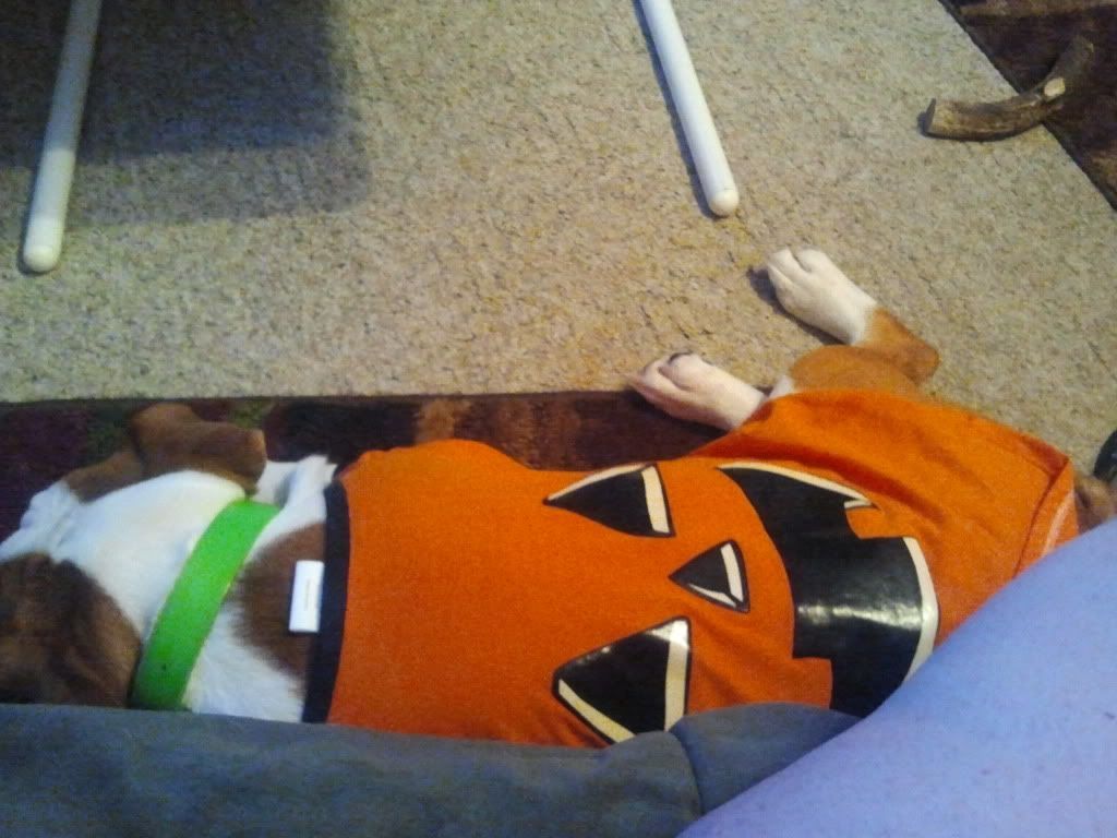 2011-10-04204939.jpg