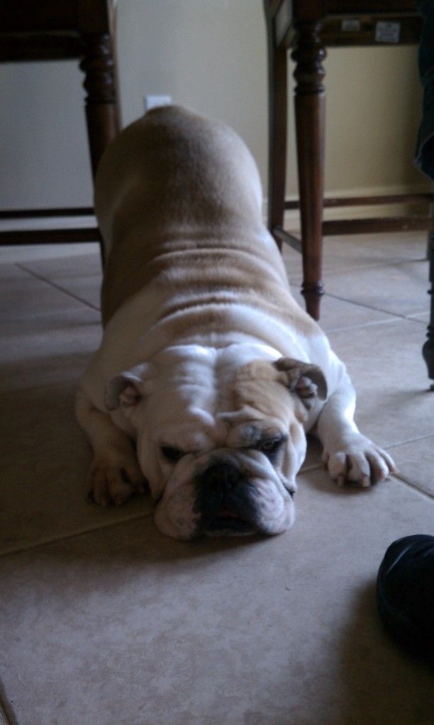 IMAG0137.jpg