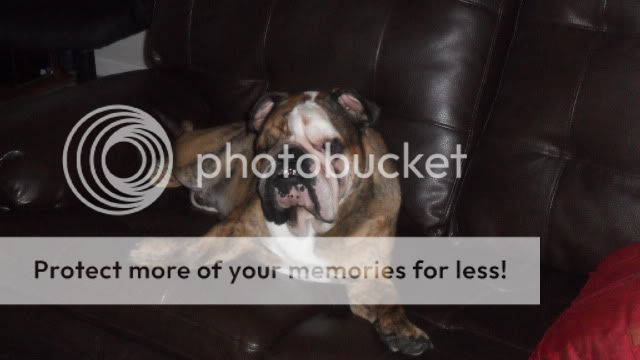 SAM_2235.jpg