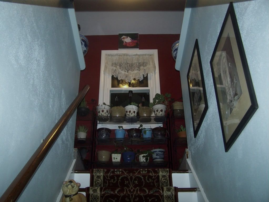 000100_2695.jpg