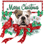 bulldogchristmas.png