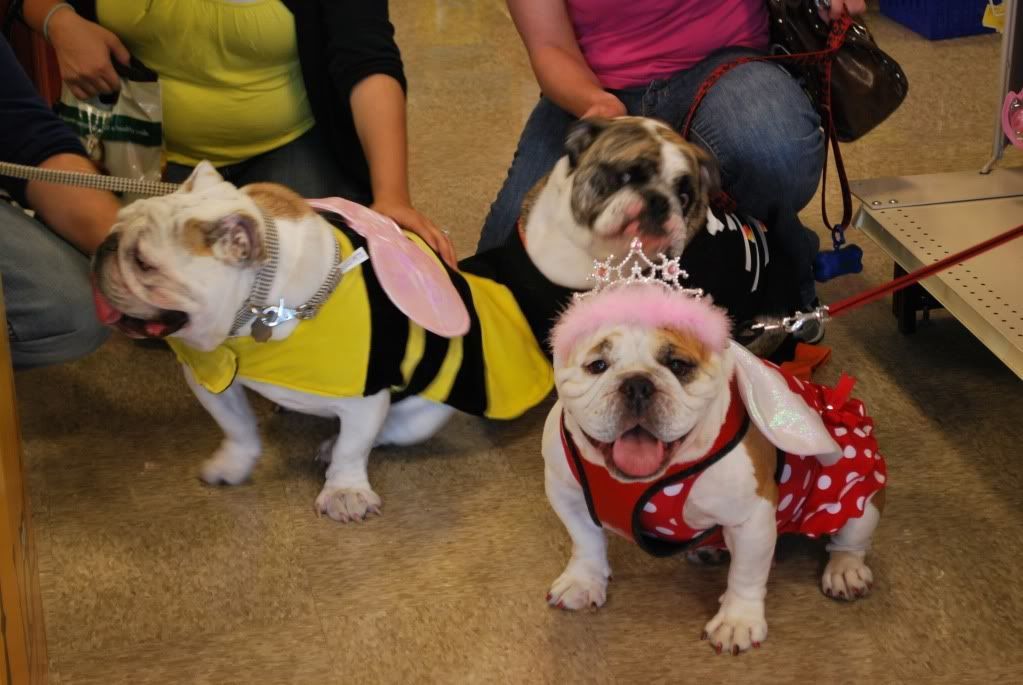HowlweenParty2010006.jpg